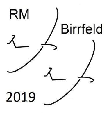 LOGO_RM19_Birrfeld